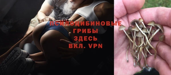 круглые Беломорск