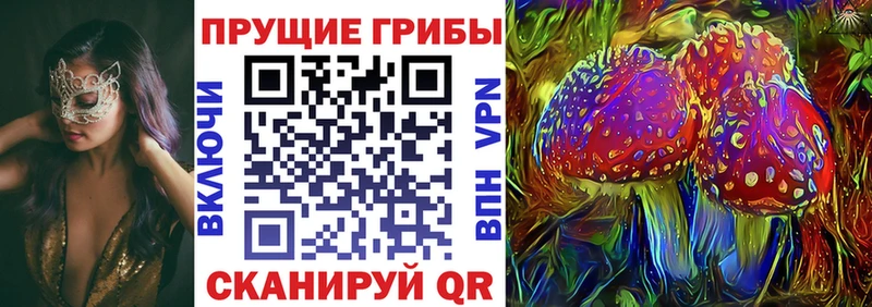 закладки  Купино  Галлюциногенные грибы Cubensis 