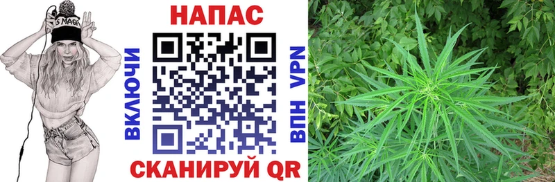 Бошки марихуана ГИДРОПОН  Купино 